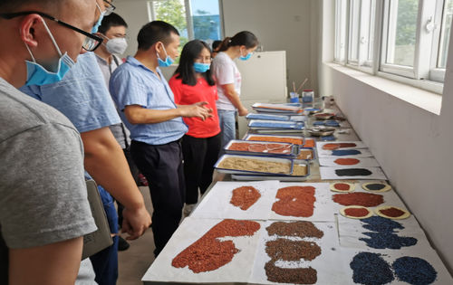 Latest company news about Baza przemysłowo-uniwersytecko-badawcza Wydziału Materiałów Politechniki Chengdu, kompleksowa współpraca z China Guangdong Building Materials